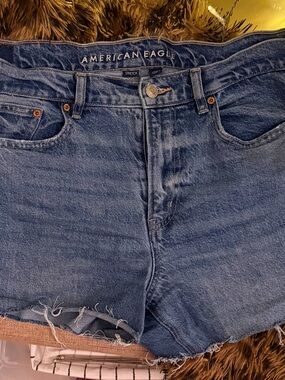 American Eagle Light Blue Denim Shorts with Frayed Hem